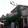 Londra - Convent Garden REGNO UNITO 