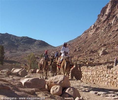 Ai piedi del Monte Sinai