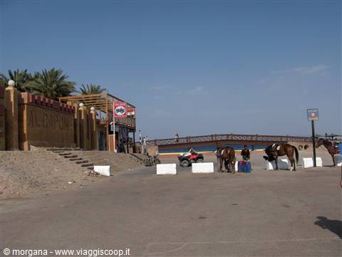 Dahab