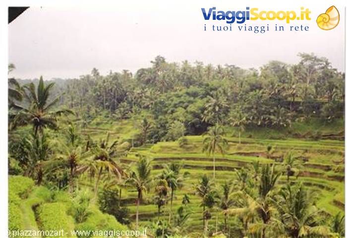 Foto di viaggio in INDONESIA