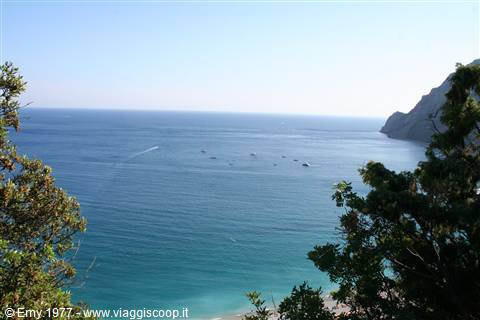 Tra i limoni delle 5 Terre