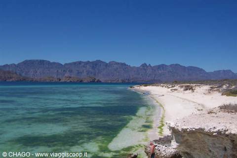 Baja Vista