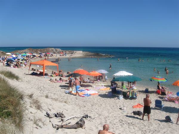 Torre Guaceto