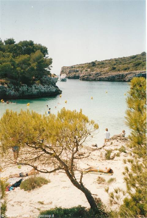 CALA EN TURQUETA