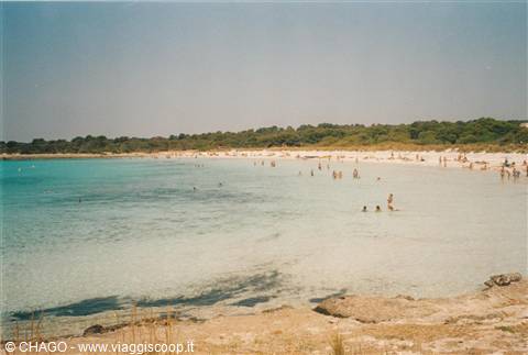SON SAURA