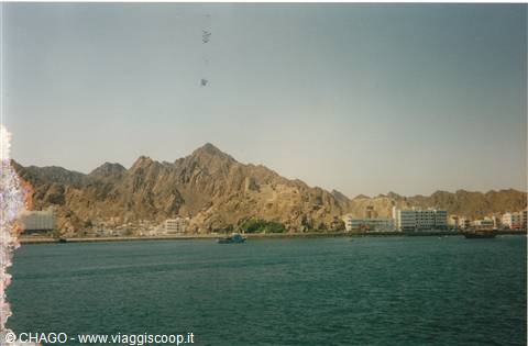 Muscat