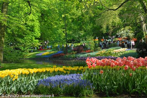 i meravigliosi giardini di Keukenhof