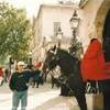 guardia a cavallo della White Hall REGNO UNITO 