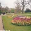 i giardini di Hyde Park REGNO UNITO 