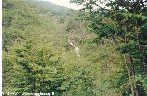 cascata Velo de novia