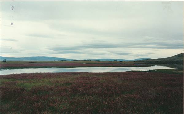 El Calefate, laguna Nimes