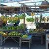  TIMOR EAST 