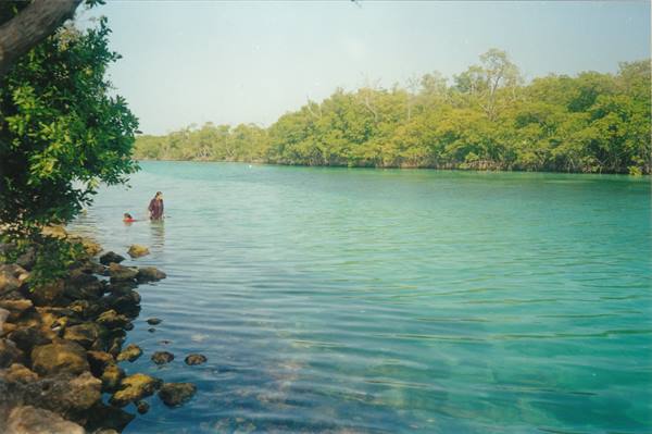Cancun, la laguna