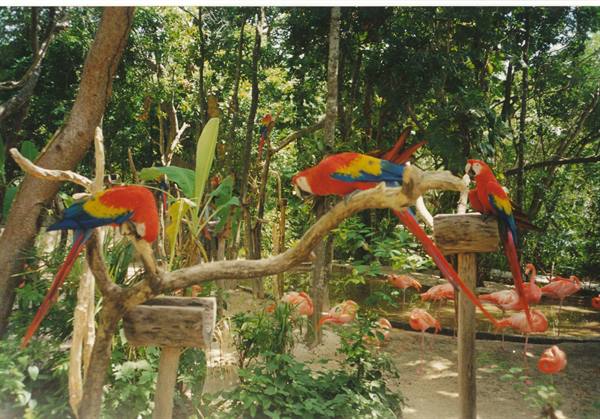 parco di Xcaret