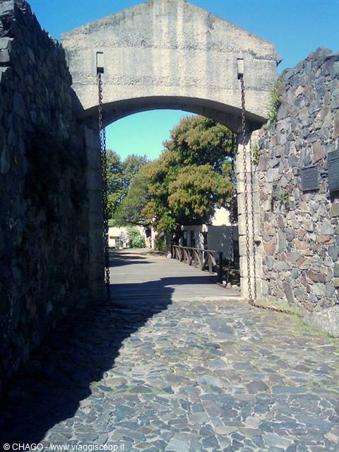 porta colonia
