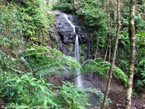 cascata delle Blue Mountains