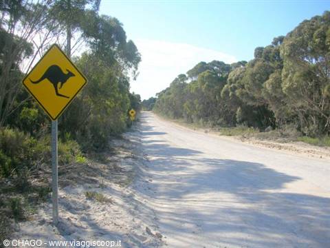le strade di Kangaroo Island