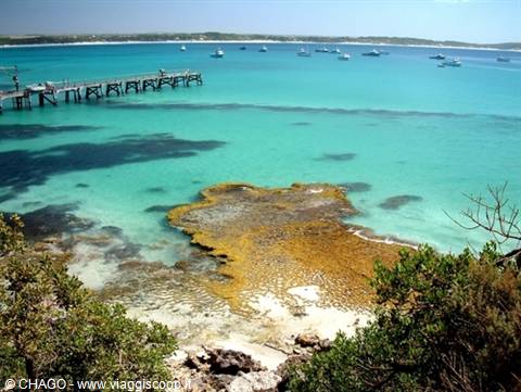 Vivonne bay