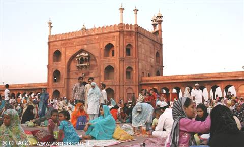 jama majid