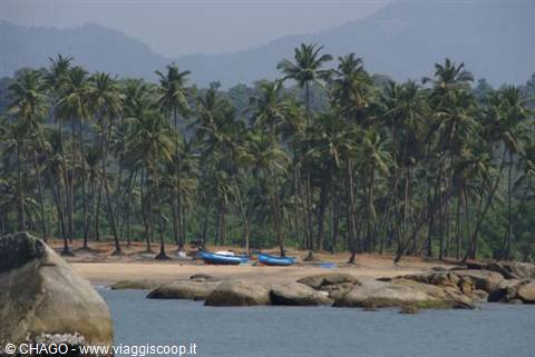 Agonda beach