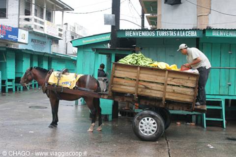 La Ceiba
