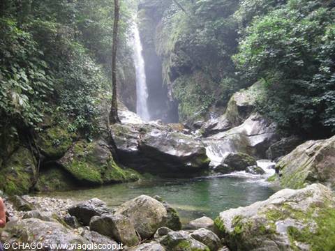 Pico Bonito