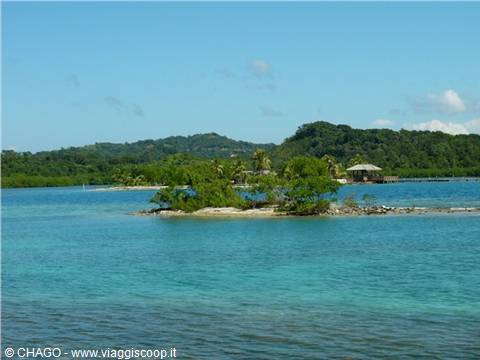 il mare di Roatan