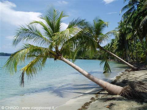 Bocas