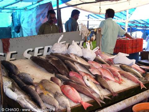 mercato del pesce