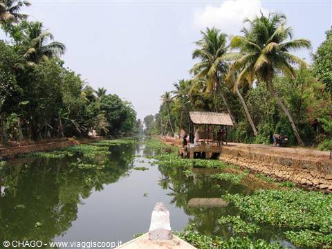 Kottayam