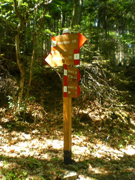 Trekking ad anello: Tosi, Vallombrosa, San Miniato in Alpe