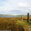 Ring Of Brodgar REGNO UNITO 