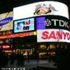 Piccadilly Circus by night REGNO UNITO 