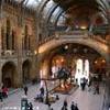 Museo di Storia Naturale REGNO UNITO 