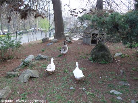Parco del Valentino - Oche