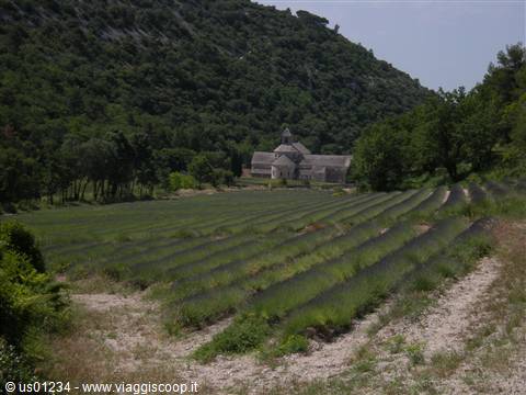 Senanque