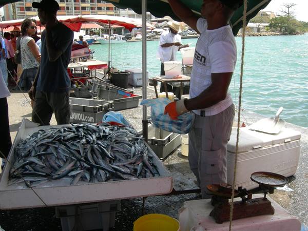 il mercato del pesce