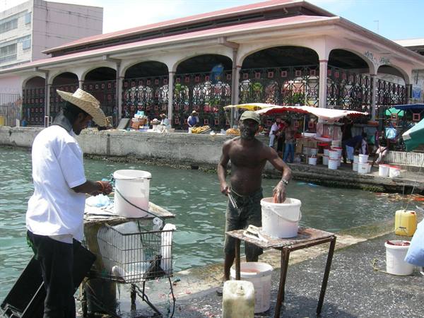 il mercato del pesce
