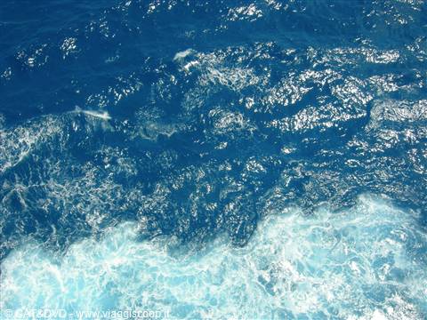 Le perle del Caribe (2)