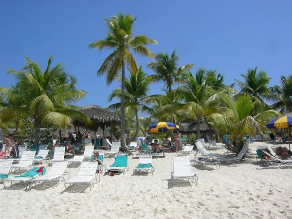 Isola Catalina, la spiaggia