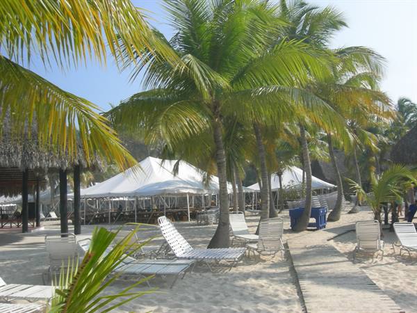 Isola Catalina, le capanne