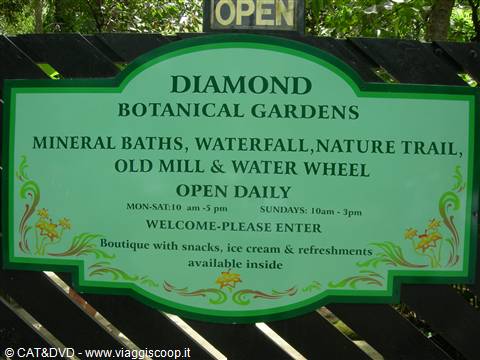 Diamond Botanical Garden