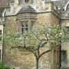 college, cambridge REGNO UNITO 