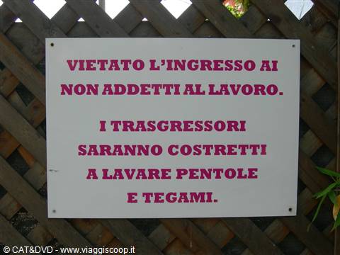trasgressori