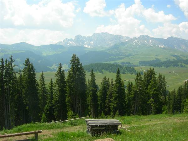 alpe di siusi