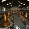 distilleria glenfiddich REGNO UNITO 