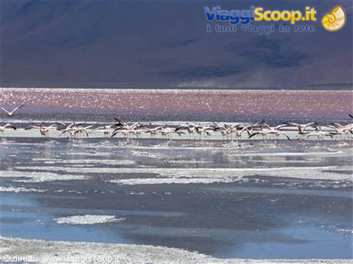 Laguna Colorada.