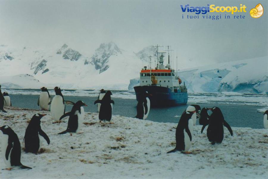 Foto di viaggio in ANTARTICA