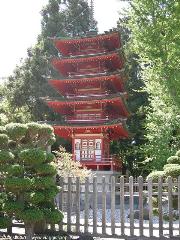 Japanese Tea Garden - San Francisco