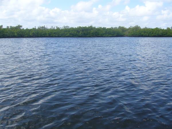 Laguna Negra, Sian Khan